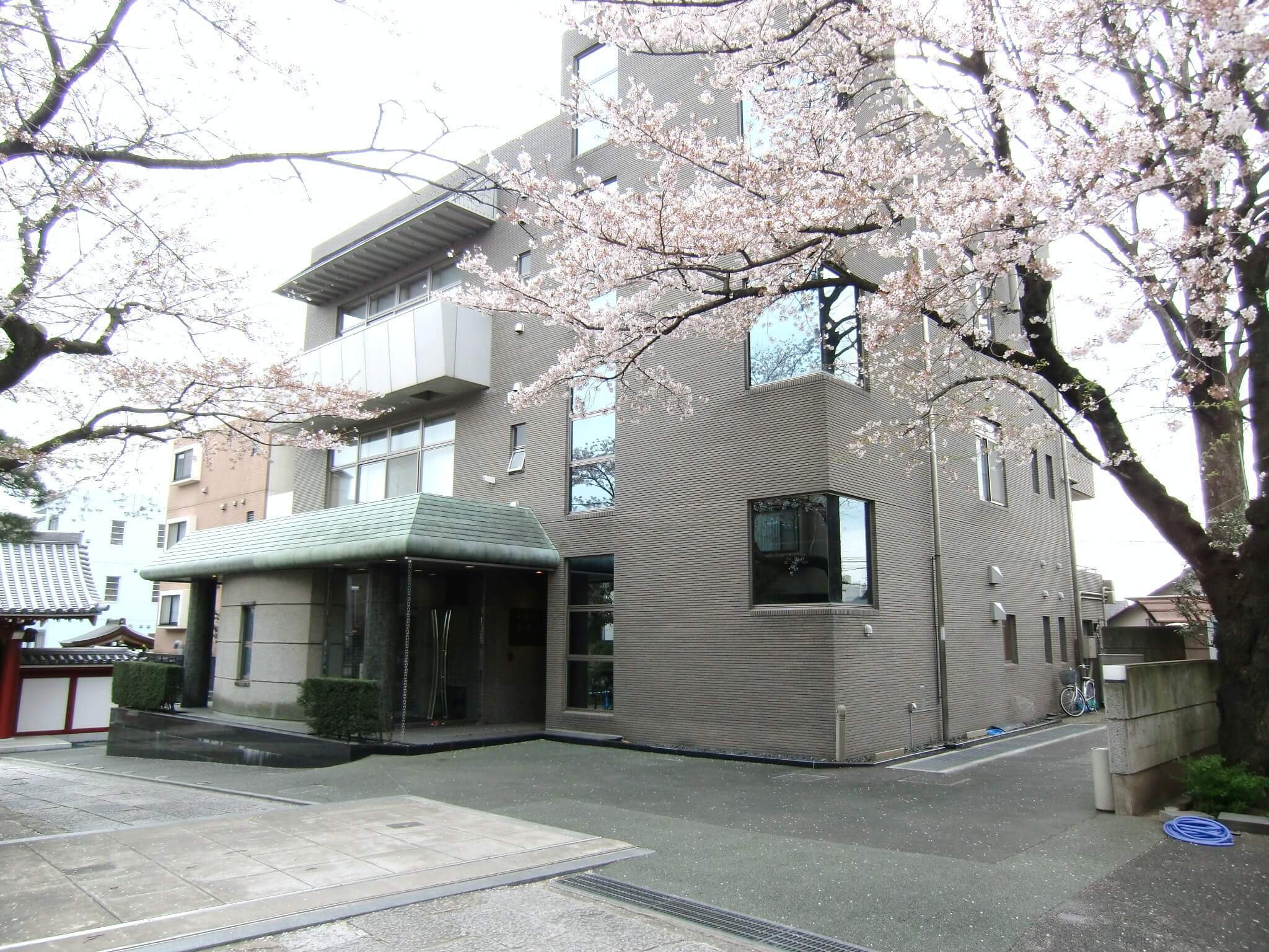 勝國寺 青龍殿(勝国寺)